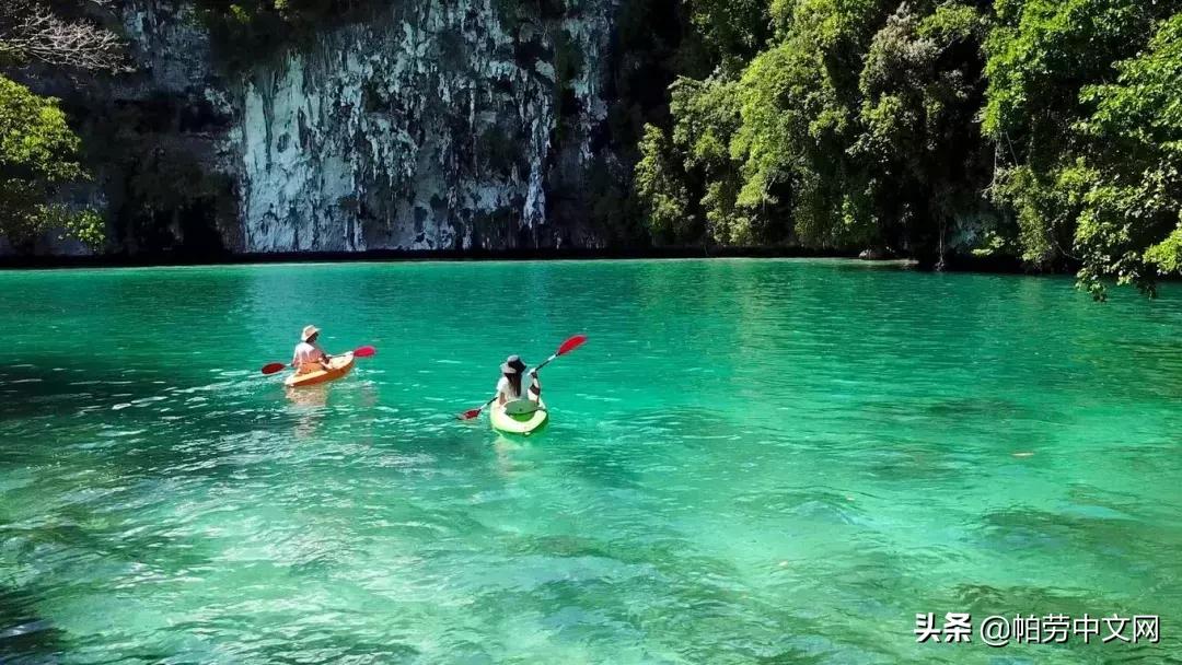 帕劳旅行水母湖,帕劳水母湖海岛