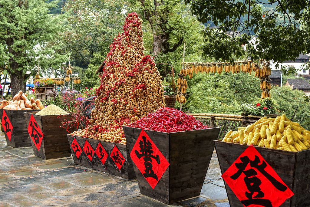 成语五谷丰登是什么意思,成语五谷丰登五谷指的是