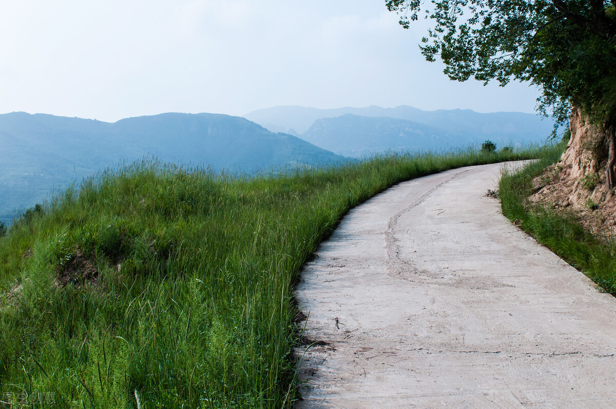 燃油插混和纯电动怎么选,油混插混与纯电动车区别