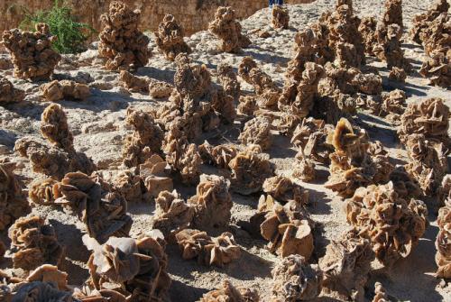 为啥在沙漠里见到石头要捡起来,在沙漠里看见石头为什么要捡起来