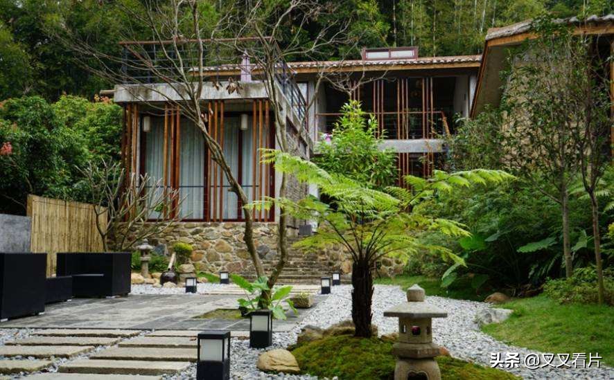 《鬼片逃生大全》：4招教你搞定《咒怨》《山村老尸》里的恶鬼