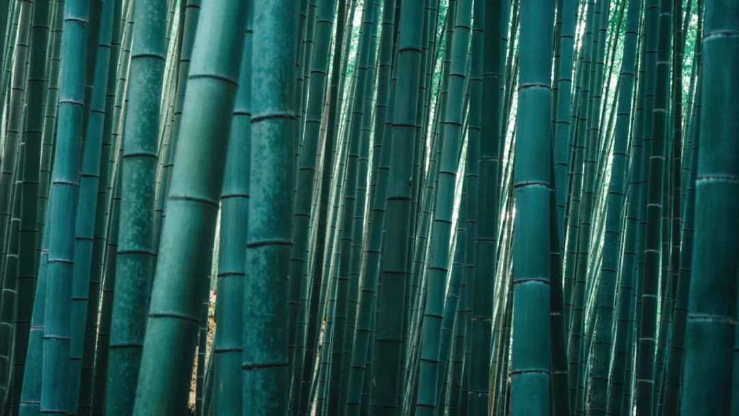 好看的花纹纸巾,独特纸巾