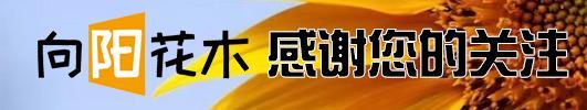 国足浑身纹身,国足遮挡纹身