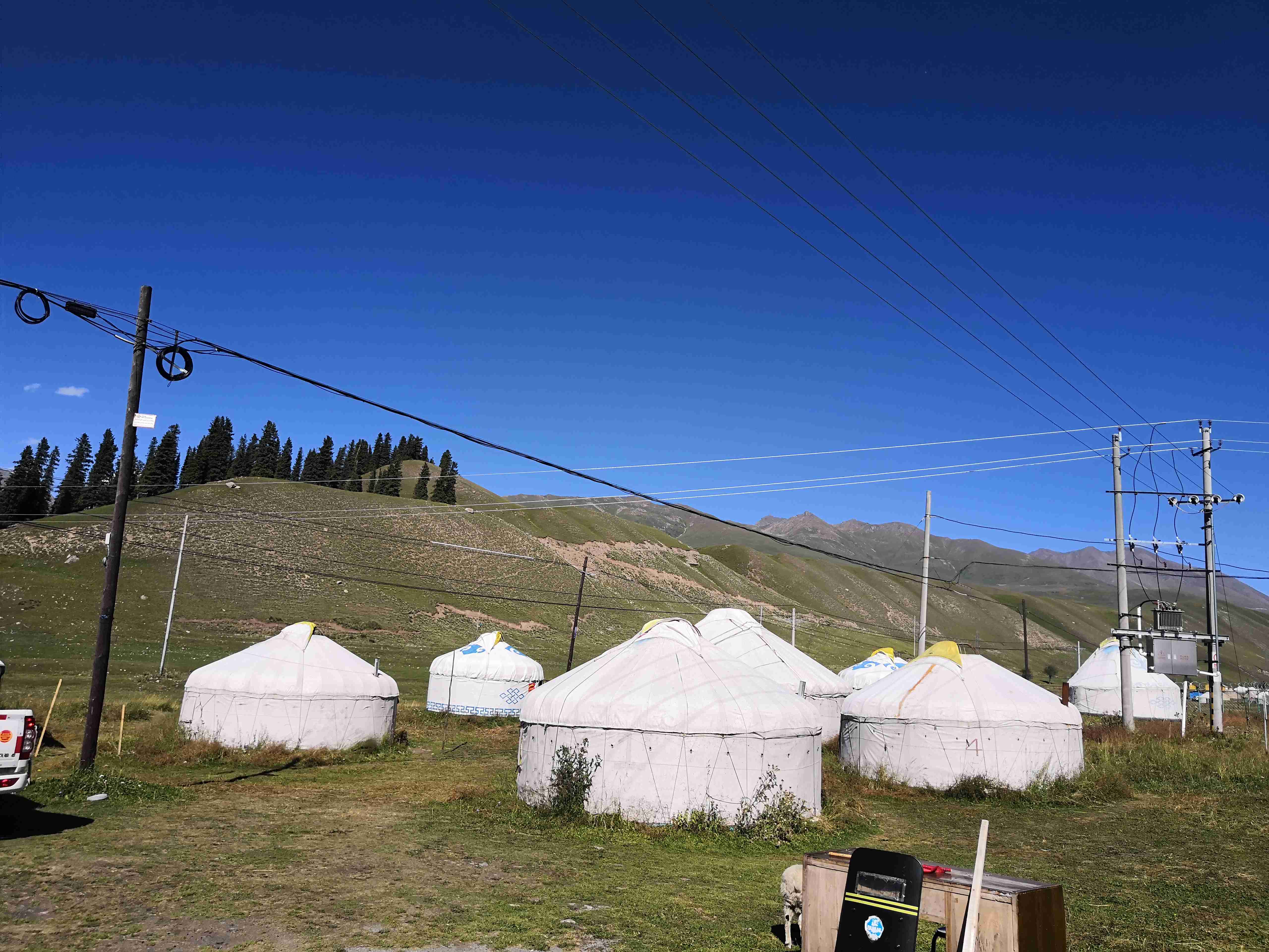 *疆新**蒙古包旅店老板，看他一天的收入多少，一个月就抵我一年工资