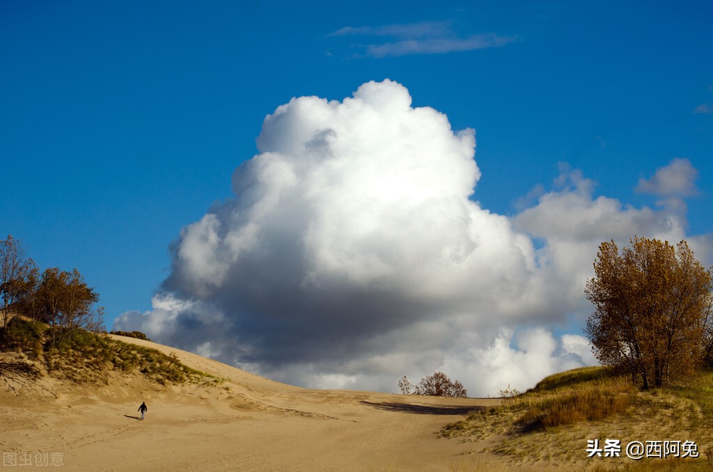 十二星座谁能读懂摩羯座,十二星座对摩羯座的看法
