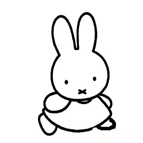 跟猪年有关的谜语,十二生肖谜语简笔画