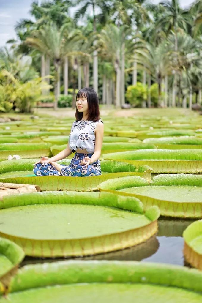 西双版纳最值得一去的景点大排名,西双版纳适合6-12岁儿童的景点