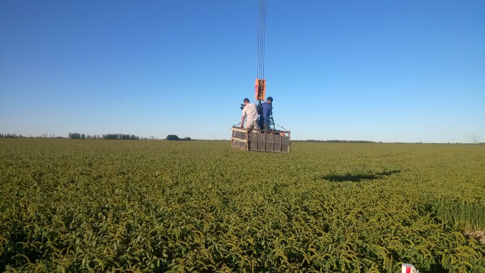 阿凡达宣传片,阿凡达宣传片音乐