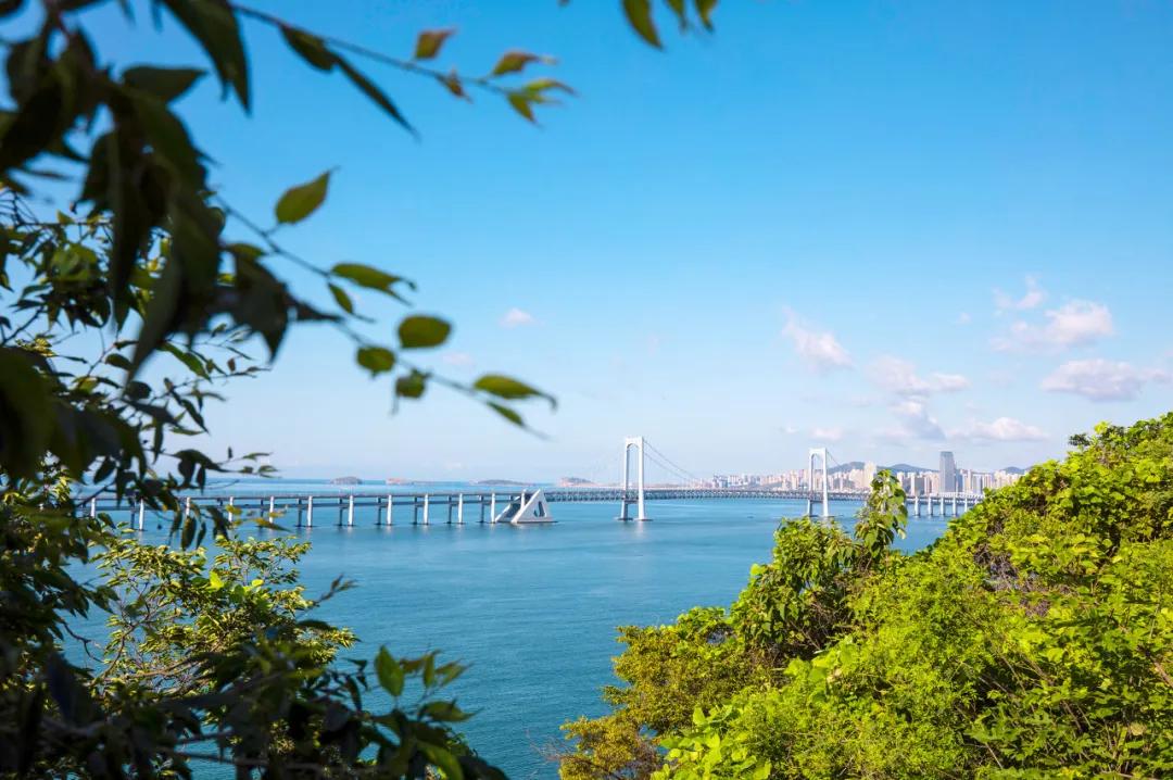旅游三亚和厦门哪个更值得去,三亚和厦门哪个更值得去三亚旅游