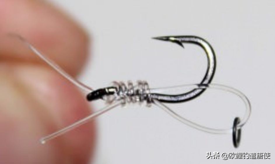 欧鲤钓钓组篇,欧鲤钓组和飞德钓组