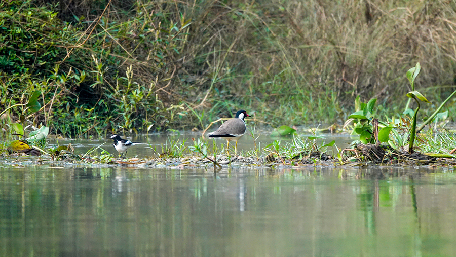 尼泊尔十堰,尼泊尔为什么这么穷