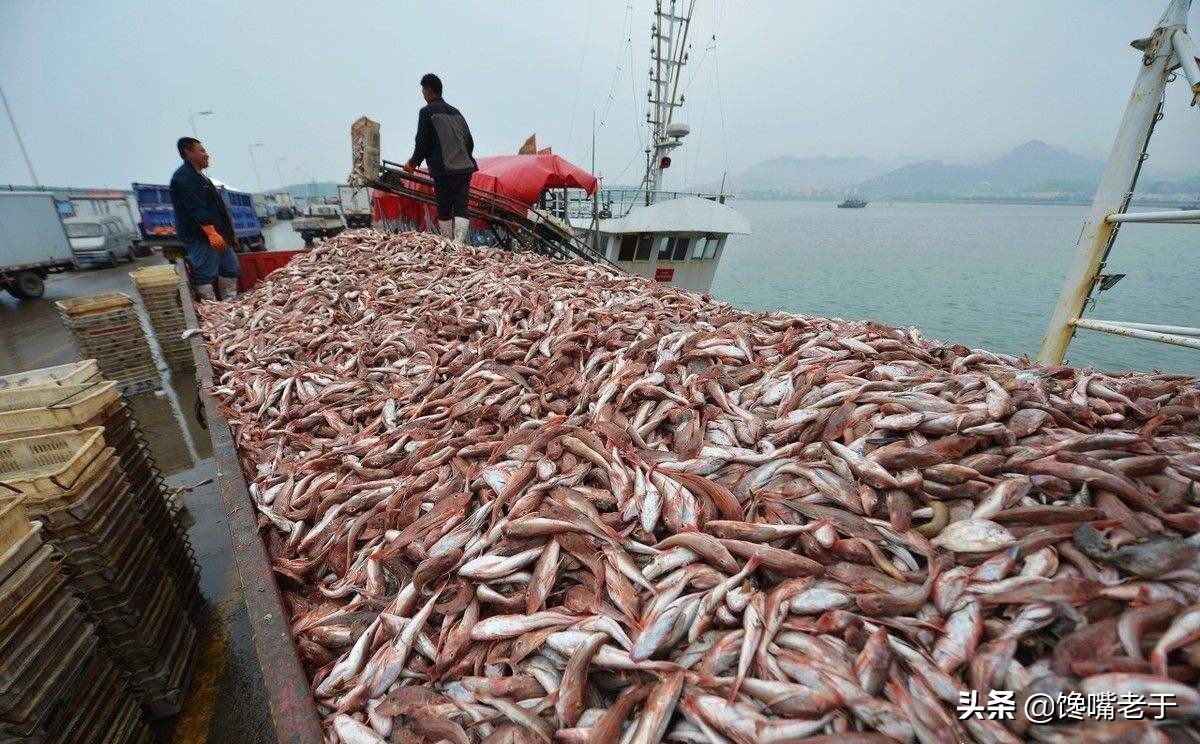 十月吃什么海鲜,六七月海鲜什么最好吃