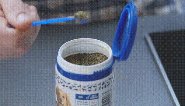 别让爱有距离,让狗狗远离口臭的最好办法