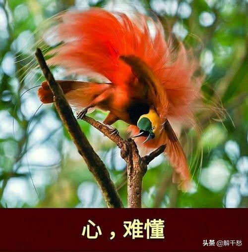 人心隔肚皮日久见人心怎么理解,俗话说的日久见人心