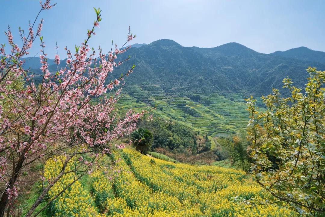 婺源油菜花一日游旅游攻略,婺源油菜花旅游攻略