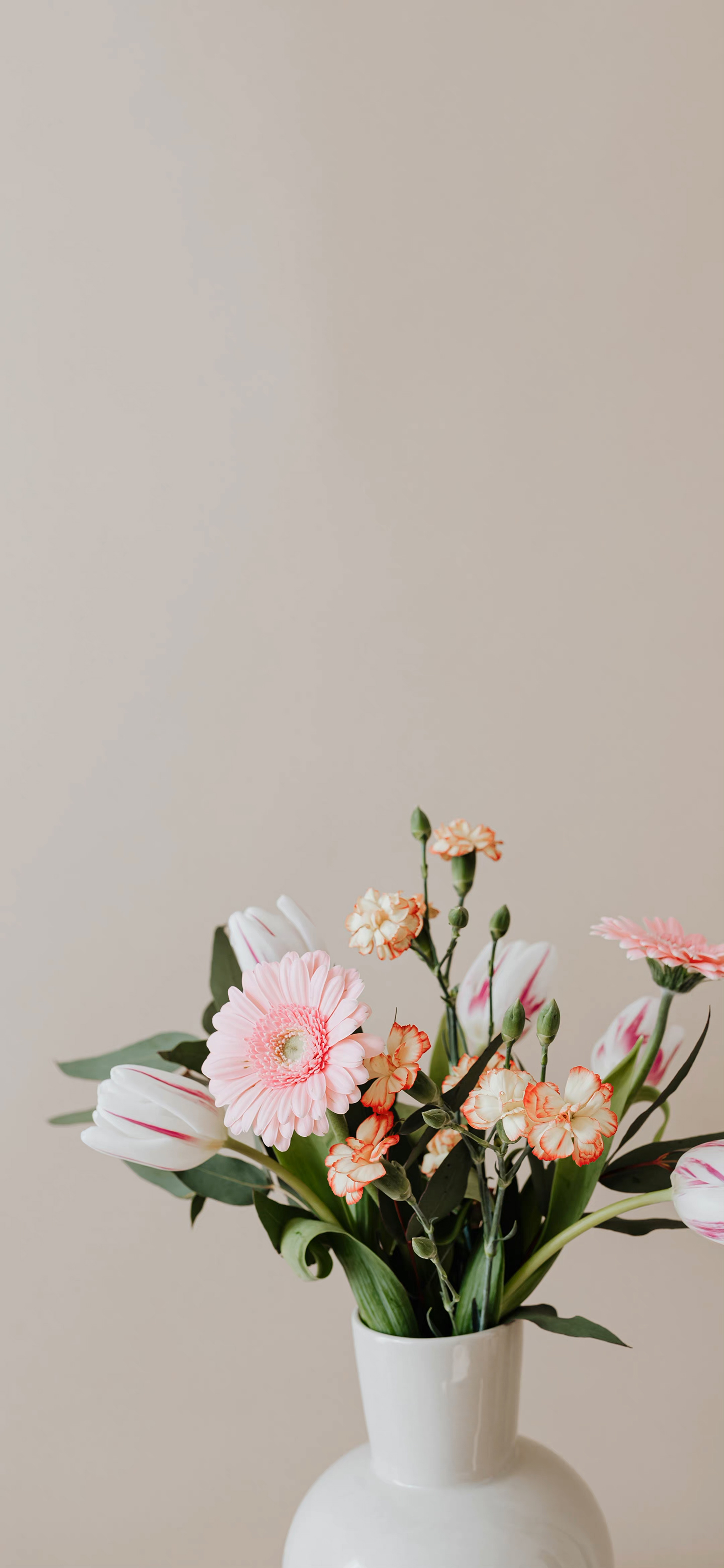 清晰到极致的手机壁纸图片,高清壁纸超清手机壁纸