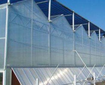 沭阳温室大棚防虫网有什么作用,聊城温室大棚防虫网好处