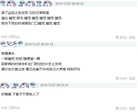 自家猫咪终于不再高冷懂得关心,为什么猫咪变得高冷了