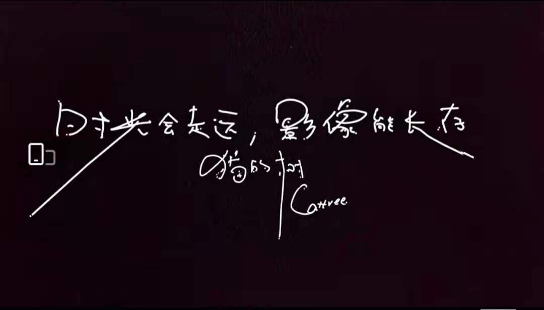 猫的树：时光会走运，影像能长存