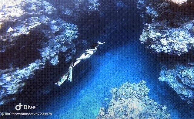 潜水圣地推荐帕劳,帕劳潜水旅游攻略