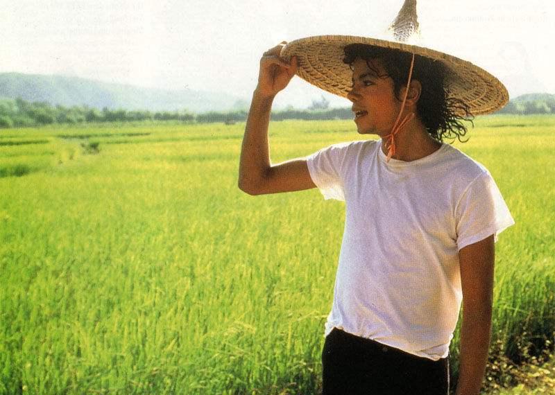 迈克尔杰克逊生活纪实,迈克尔杰克逊居住的地方现状