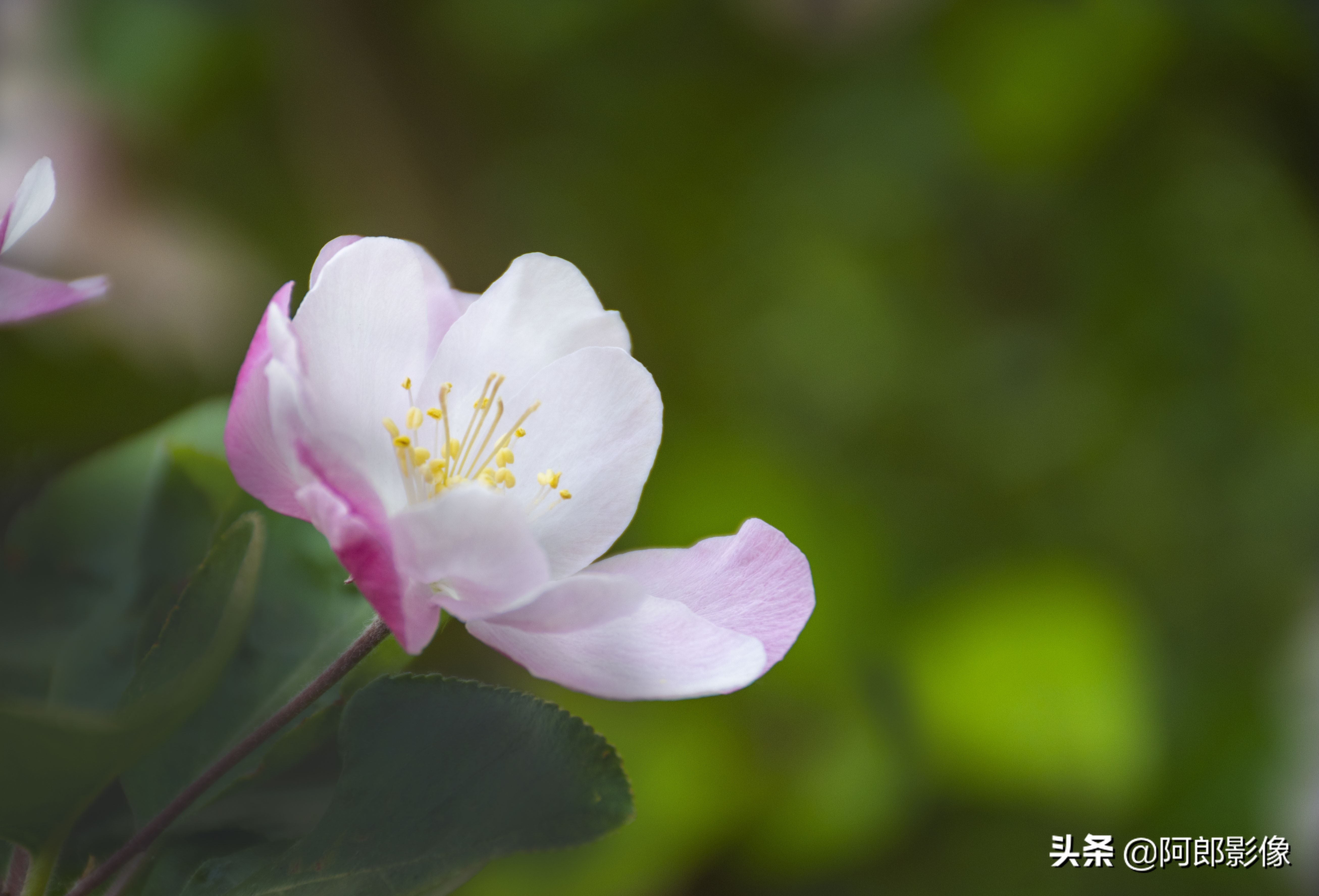 单反摄影入门必备器材清单,跟着阿牛师傅学知识