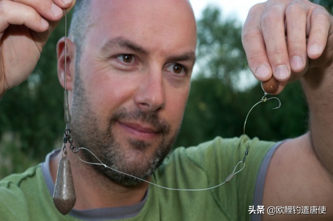 为什么鲤鱼比鲫鱼难钓,为什么鲫鱼这么难咬钩