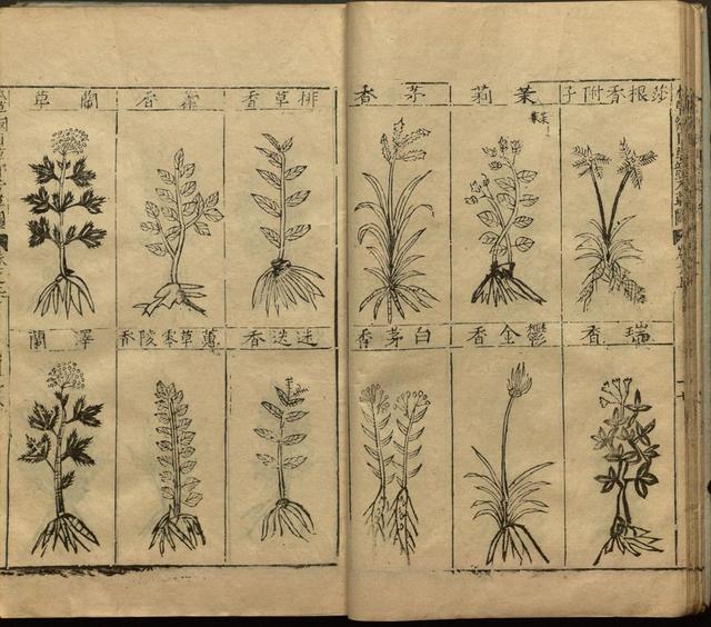 李时珍与本草纲目ppt课件,神农本草经正版李时珍书籍