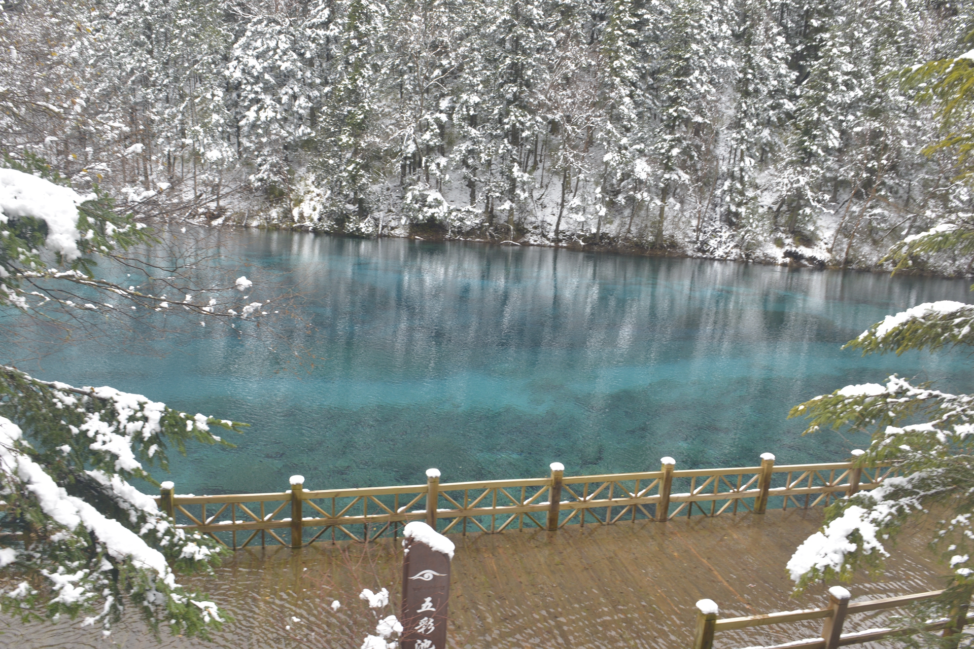 九寨沟梦幻天堂,自驾畅游九寨沟童话世界
