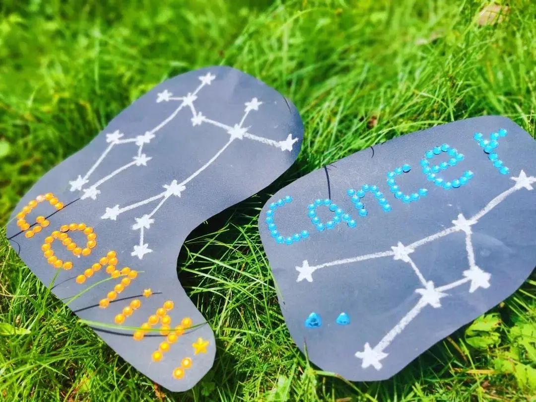 100个创意生日会,幼儿园动物主题生日会方案创意