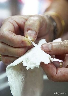 花胶如何晒制,鱼胶花胶怎么样才算好