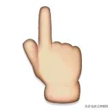 夏天最爱登门拜访惠州人的虫子，满屏全都是惊吓