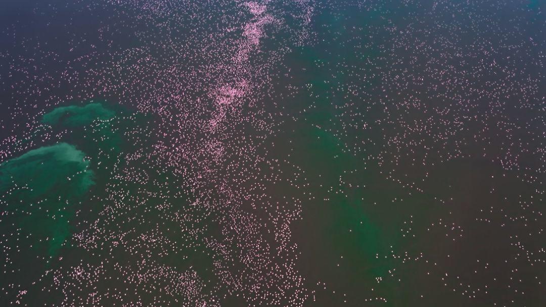 网飞2020高分电视剧排行榜,网飞高分剧排行榜在哪看