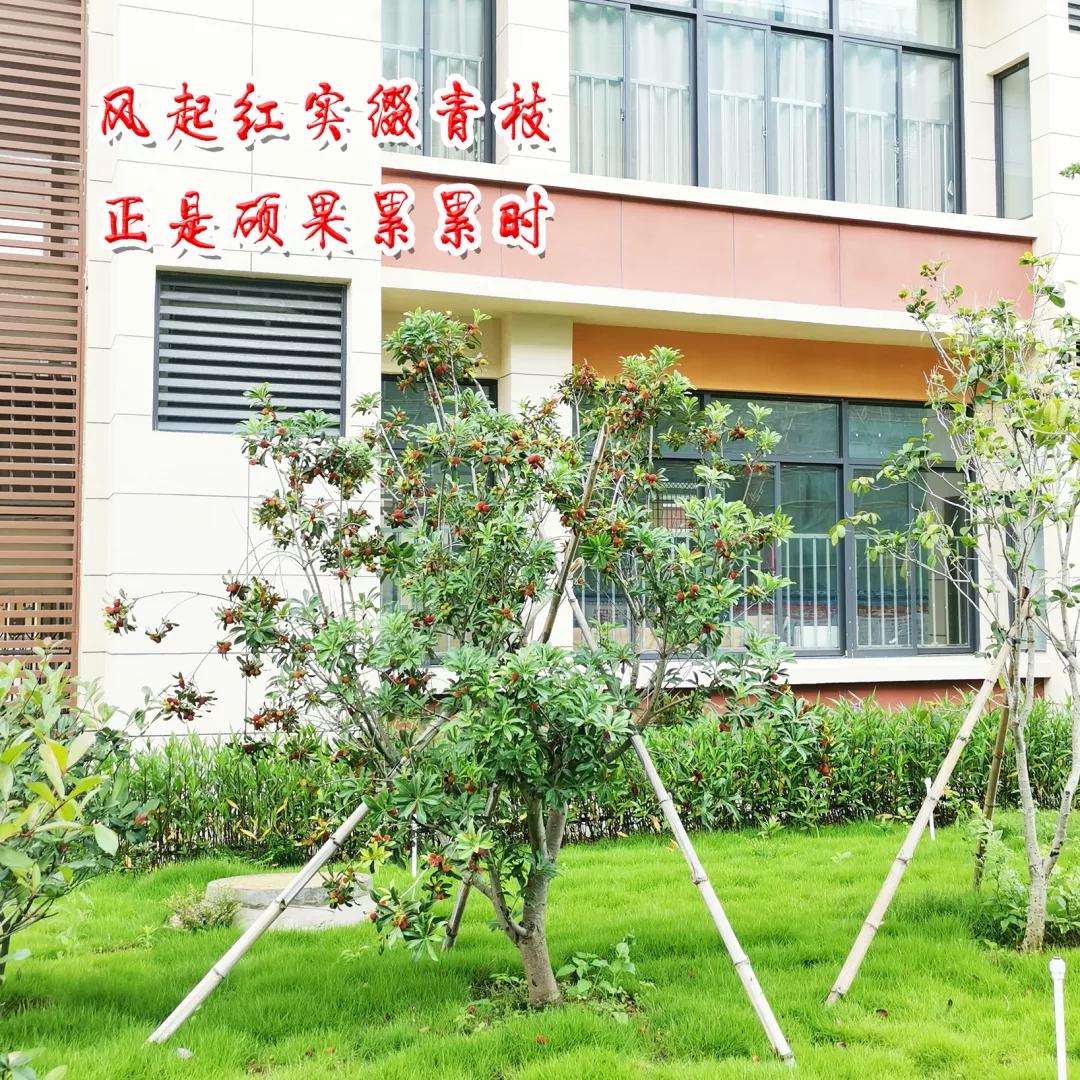 连江锐舞堂成果展,展课堂风采促共同成长