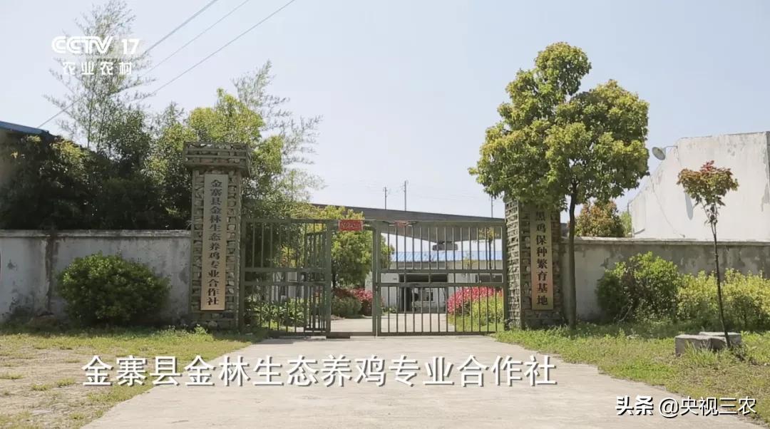 他放弃高薪回村干这一行，旁人不理解，如今大获成功