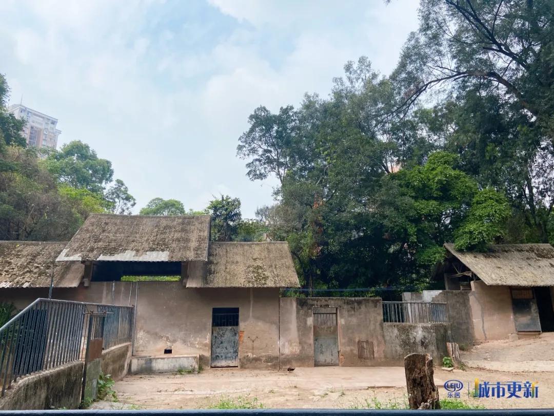 广州动物园什么时候搬迁,广州动物园搬迁