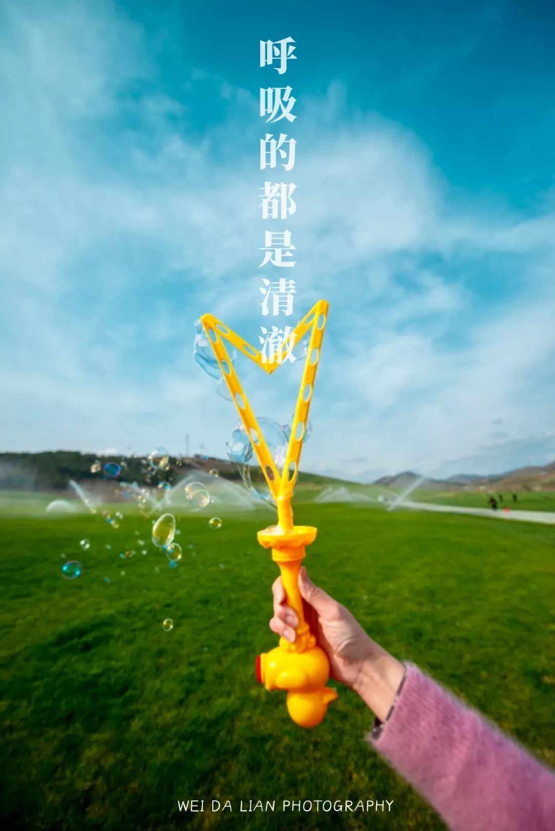 隐匿于大连的这片清澈之地，看的是蓝天白云，呼吸的是草木芬芳