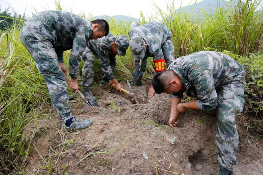 福建省军区民兵演习,战区部队的军事演练