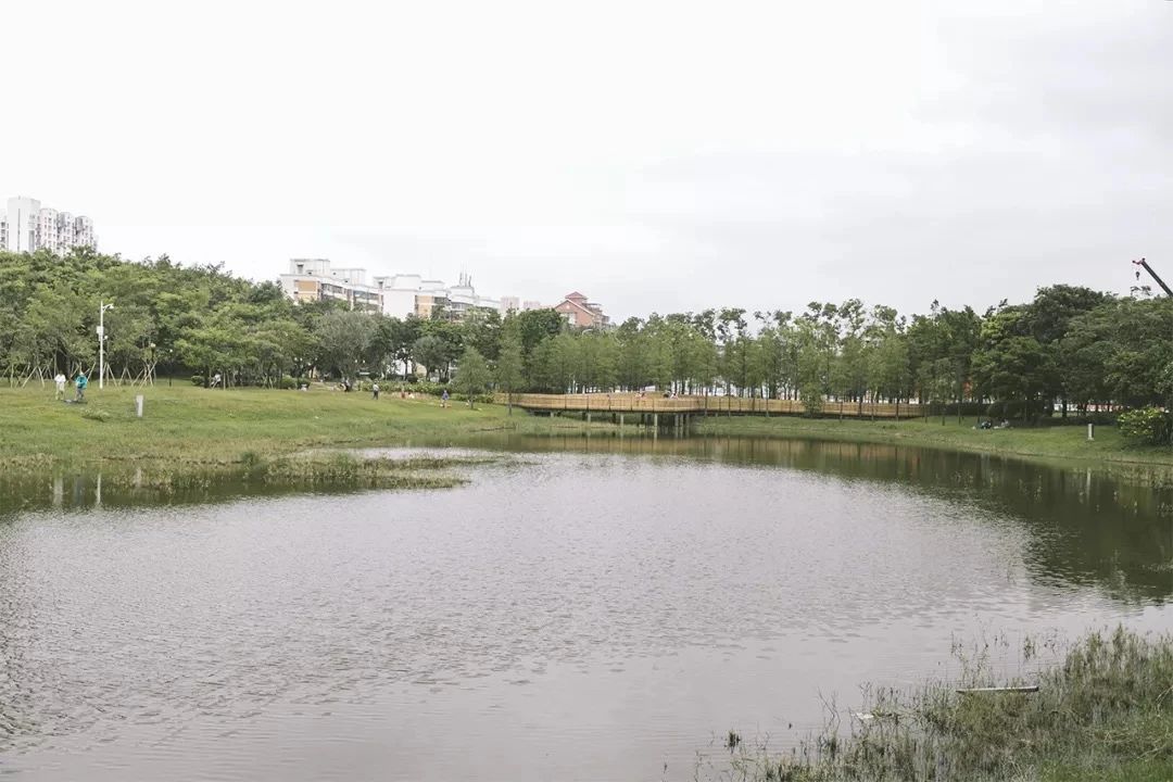 深圳周末浪漫好去处,深圳浪漫约会地点十个景点