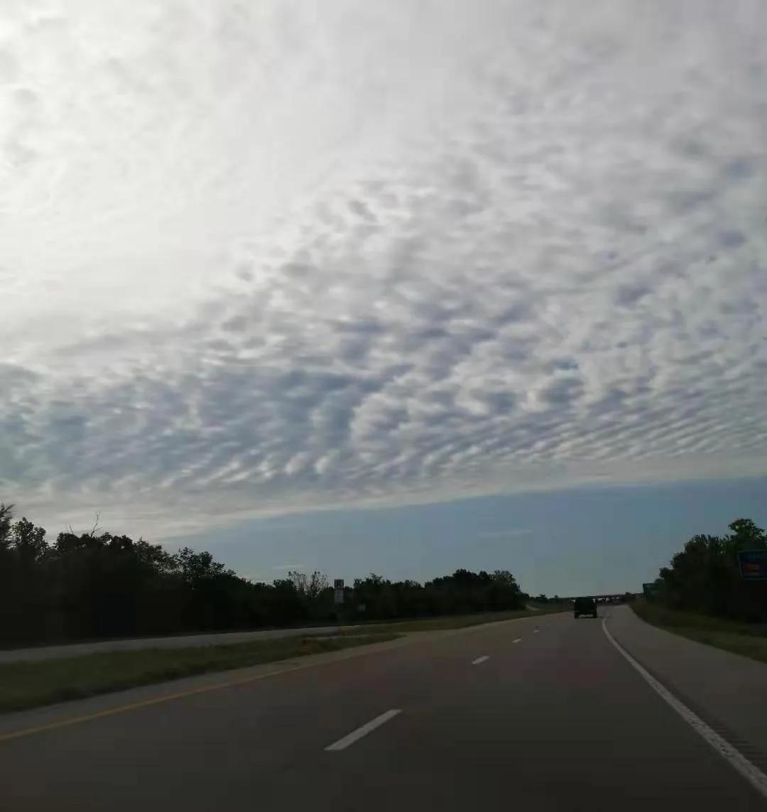 跨国婚恋的六大因素包括哪些,跨国婚恋如何写好经历