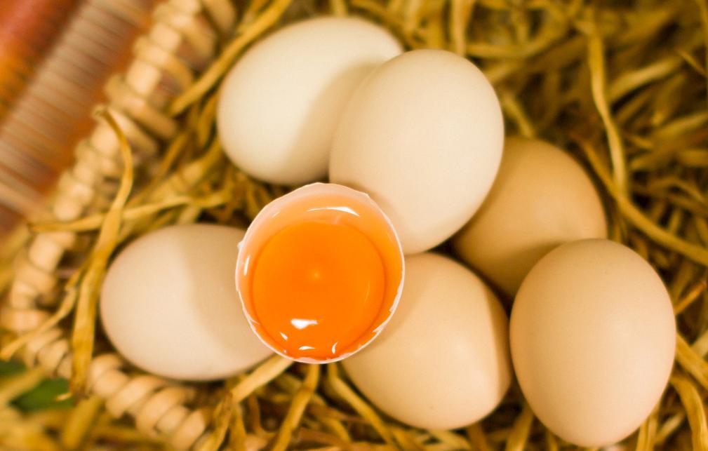 食问（五）“蛋”食有讲究