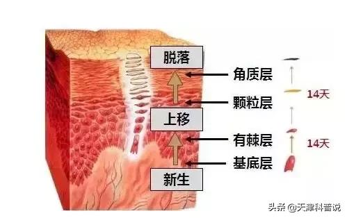 伤口结痂后特别特别的痒是为什么,结痂的地方奇痒难忍为什么