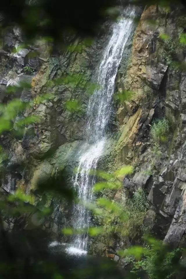 矿坑改造最美公园,矿坑改造湿地公园视频