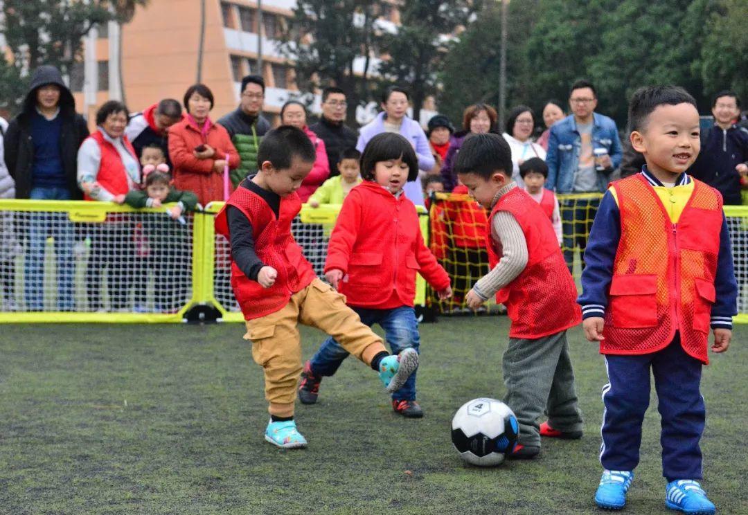 派迪茵体育有限公司,派迪茵体育直播