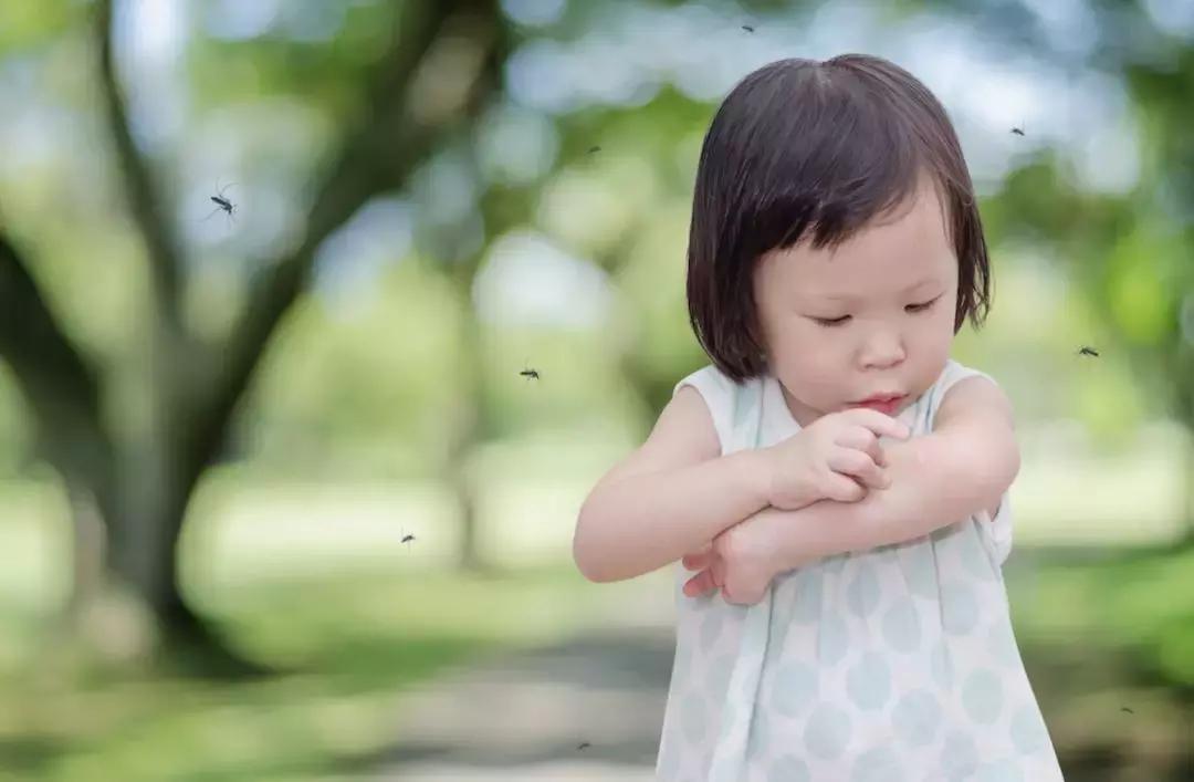 孕妇被蚊子咬了怎么止痒消肿,蚊子咬了止痒消肿最快的办法