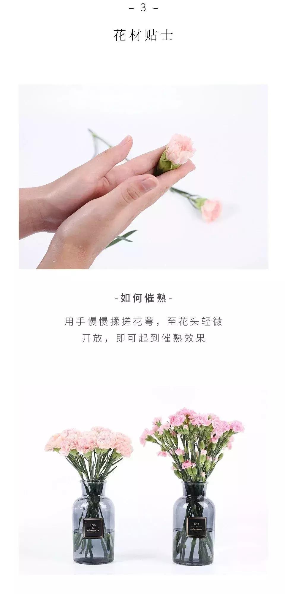 最美母亲节完整版,最美康乃馨母亲节