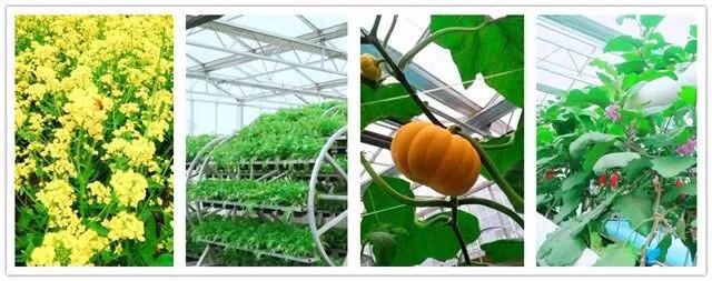 憋坏了吧，诸位！大午温泉在等你……