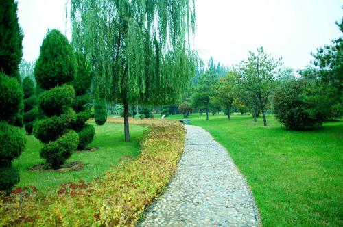 深圳新开的公园,深圳将再增一处海滨公园