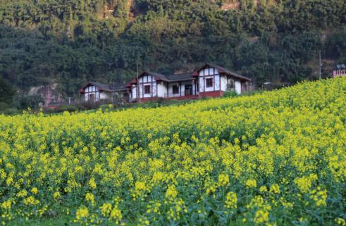 遵义最美乡村旅游图,遵义周边乡村旅游的地方