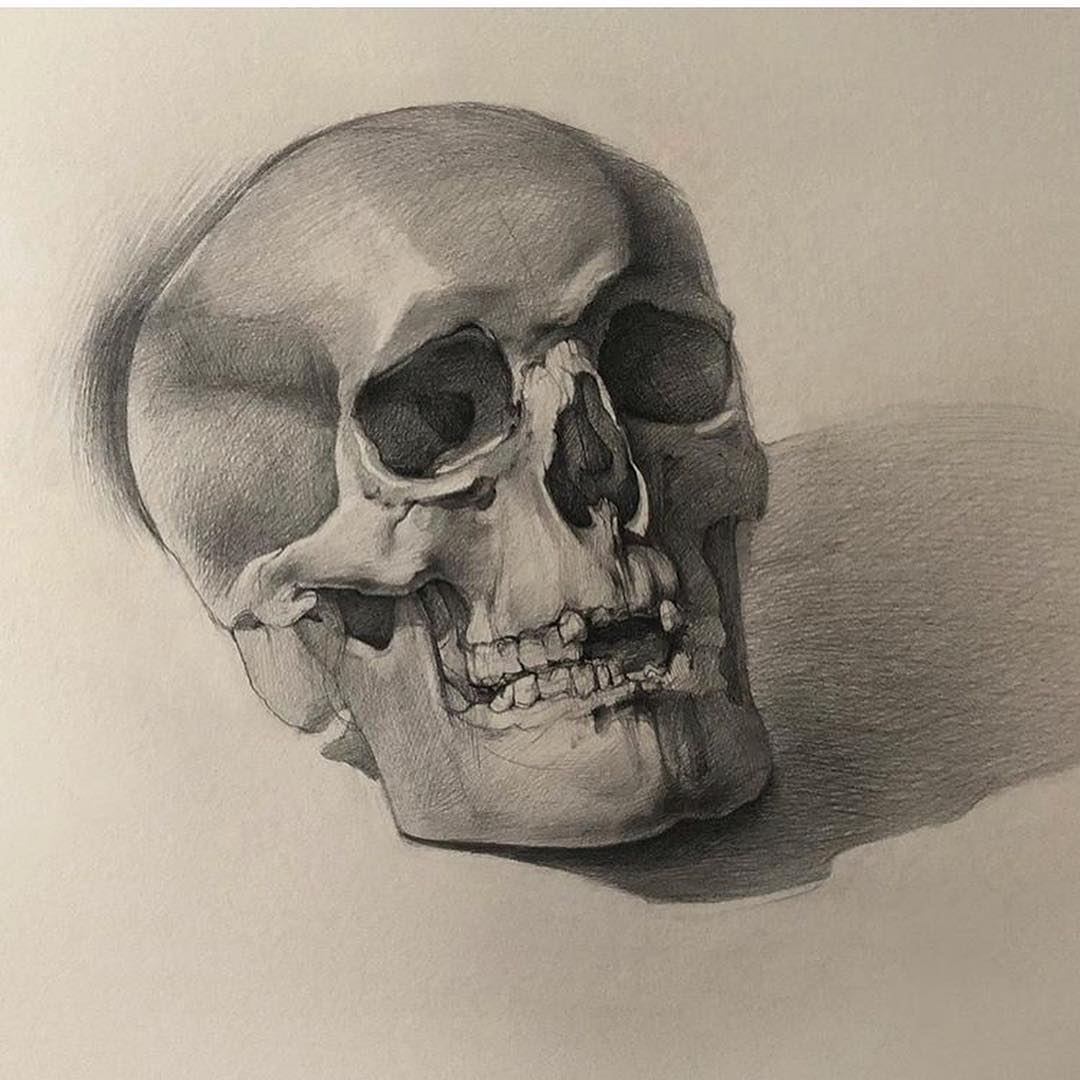 石膏头像大卫素描教程步骤,小卫石膏头像素描教程完整版